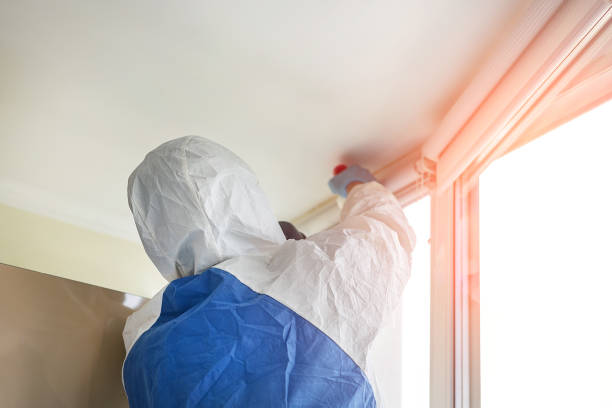 Professional Mold Removal Services in Temple Terrace, FL